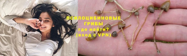 бошки Алзамай