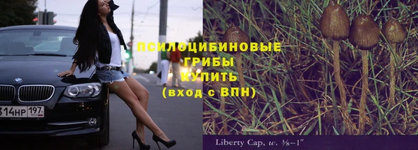 таблы Алексеевка