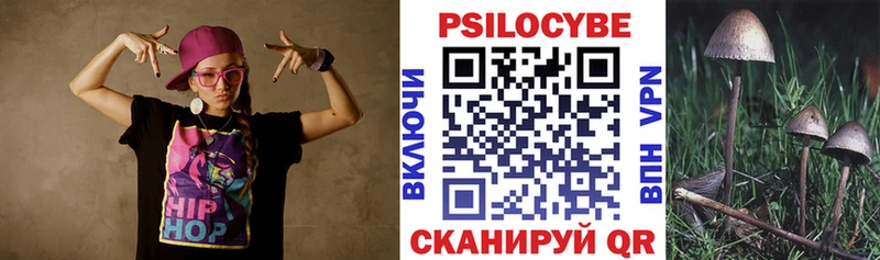 Псилоцибиновые грибы прущие грибы  хочу наркоту  гидра tor  Клин 